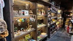 -Zoolung Zoolung动物主题公园(海信广场店)