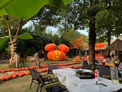 -HERRE·FARM 赫尔露营农场·团建聚会包场