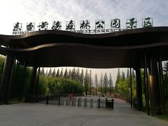 -黄海国家森林公园