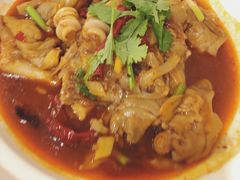 -新疆兵团食府清真(马连道店)
