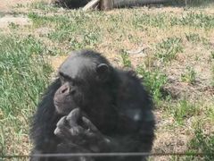 -新疆天山野生动物园