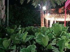 -木屋烧烤(惠阳华润小径湾店)