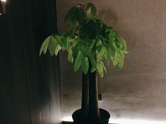 -泰之源足浴会所(玉环店)