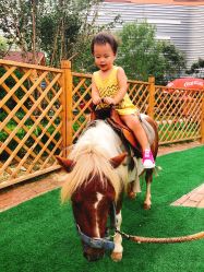 -萌宠亲子动物乐园(槐房万达店)