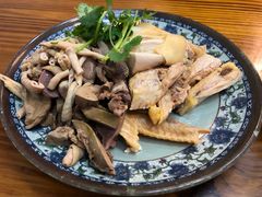 -九斤黄三黄鸡专卖店