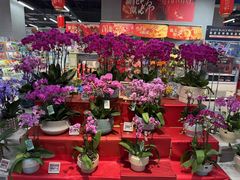 -盒马鲜生(宝地店)