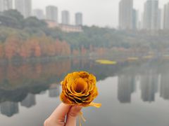 -重庆彩云湖湿地公园