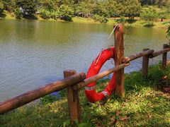 -香山湖公园