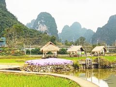 -明仕田园