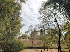 -中国移动南方基地