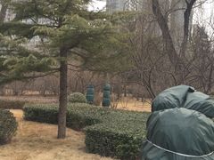 -迎泽公园
