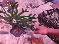 -沈阳海洋探索中心