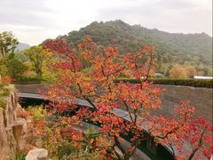 -湘湖逍遥庄园·水漾中餐厅