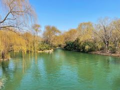 -济南大明湖景区
