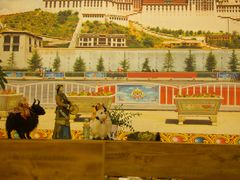 -卡万金特色藏餐