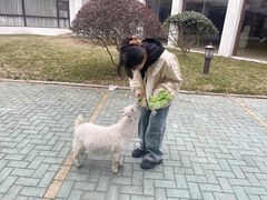 -同里湖度假村(二期店)