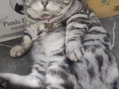 -联合动物医院(光谷诊疗中心)