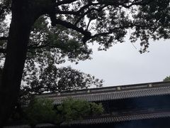 -普陀山风景名胜区-法雨禅寺