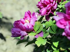 -江南大学(蠡湖校区)