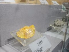 -湖南省地质博物馆