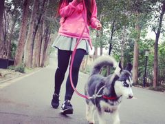 -三圣花乡旅游区