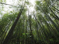 -千泷沟大瀑布旅游区