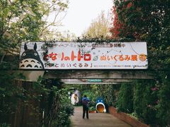 -伊豆泰迪熊博物馆