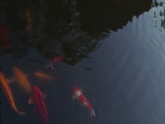 -上海大学(宝山校区)