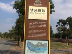 -南湖湿地公园