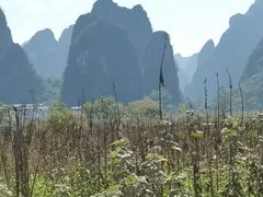 -钟山水墨田园