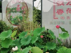 -无锡蠡湖国家湿地公园-蠡园