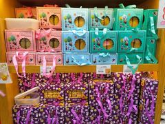 -钜记手信(威尼斯人K12店)