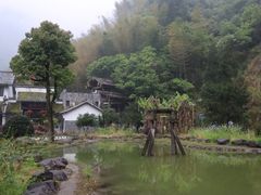 -白云源风景区