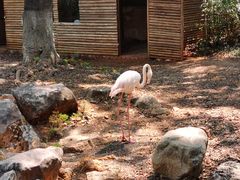 -昆明动物园