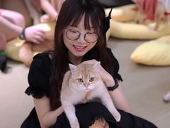 -逗柴咖啡屋·狗咖猫咖宠物桌游