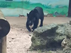 -昆明动物园
