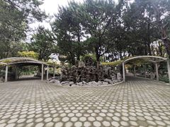 -叶家花园