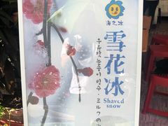 -渡船头海之冰