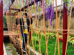 -呀路古热带植物园