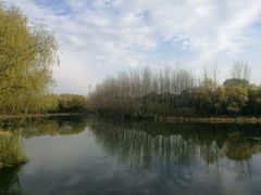 -昆山城市生态森林公园