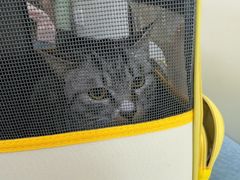 -美联众合动物医院·24h京西诊疗中心