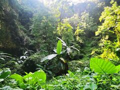 -巴马洞天福地景区