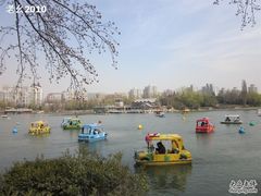 -紫竹院公园冰场