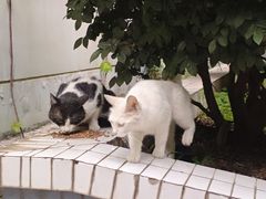 -湖北中医药大学(昙华林校区)