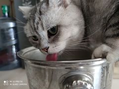 -平行世界·猫咖(首经贸店)