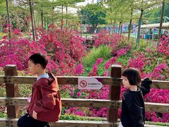 -盈香心动乐园