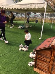 -萌宠亲子动物乐园(槐房万达店)