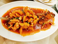 松鼠桂鱼-金时代顺风大酒店(协泰店)