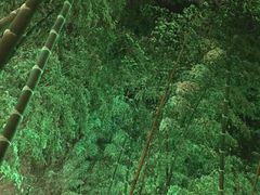 -天目湖御水温泉·度假酒店