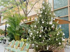 -深圳湾万象城(南山店)